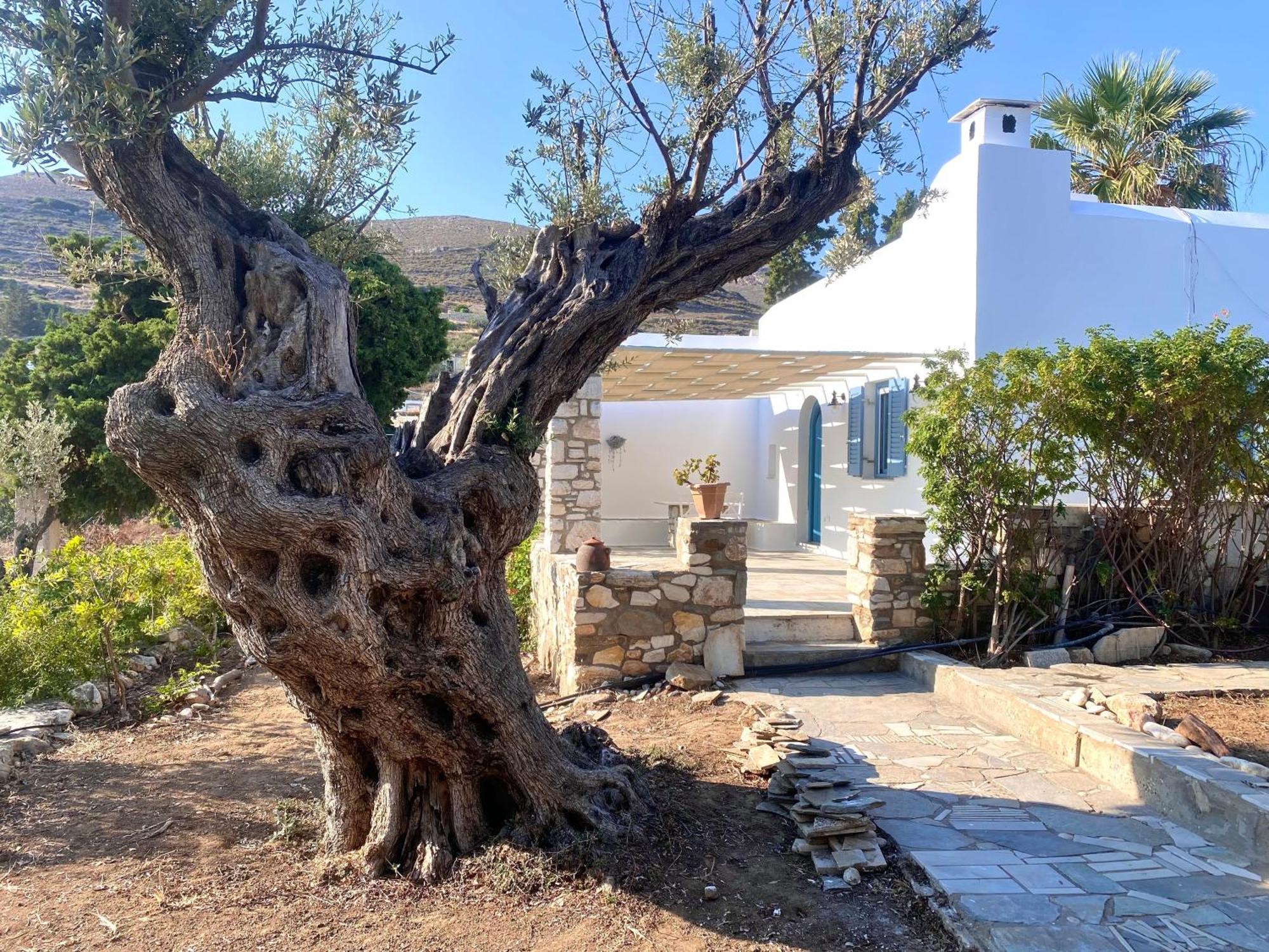 Elitas Lodge: Cosy Cycladic Outside Paroikia * Páros